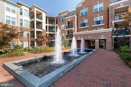 2903 Saintsbury Plaza #102 Fairfax, VA 22031
