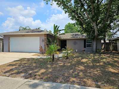 2605 Wildwood Ln Palm Harbor, FL 34684