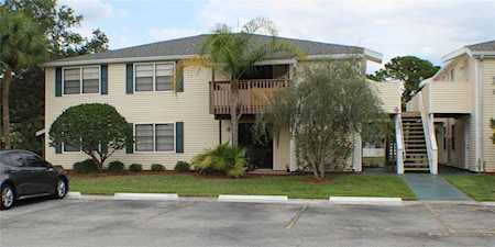 122 Loblolly Ct #E Oldsmar, FL 34677