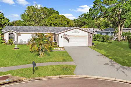 2862 Lomond Dr Palm Harbor, FL 34684