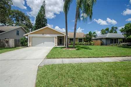 2817 Wendover TERRACE Palm Harbor, FL 34685