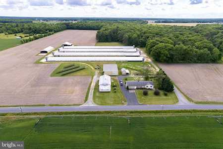 14564 Blanchard Rd Bridgeville, DE 19933