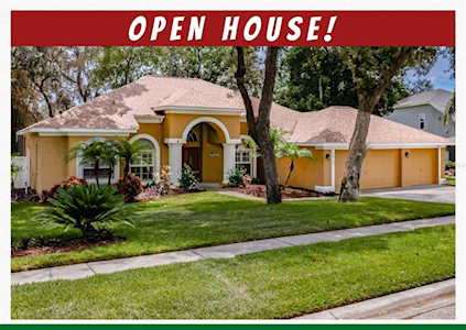 10131 Paddock Oaks Dr Riverview, FL 33569