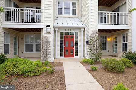 7523D Snowpea Ct #76 Alexandria, VA 22306
