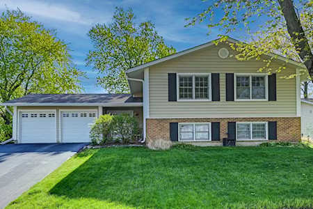 6519 Halsey Dr Woodridge, IL 60517