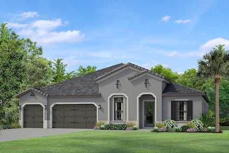 17827 Daisy Farm Dr Lutz, FL 33559