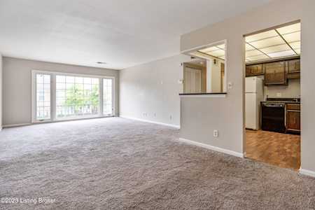 407 Highwood Dr Louisville, KY 40206
