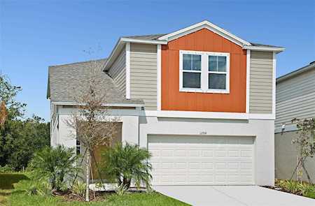34110 Scarlet Sage Ct Wesley Chapel, FL 33545