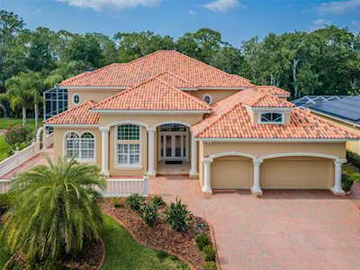 3811 Mullenhurst Dr Palm Harbor, FL 34685