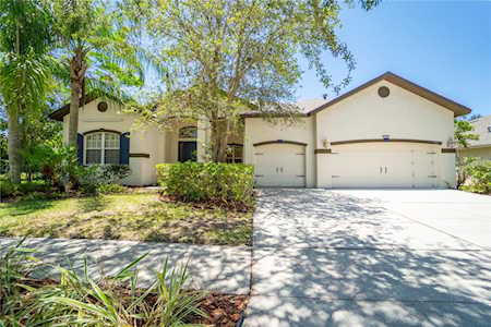 7313 Carrington Oaks Ln Apollo Beach, FL 33572