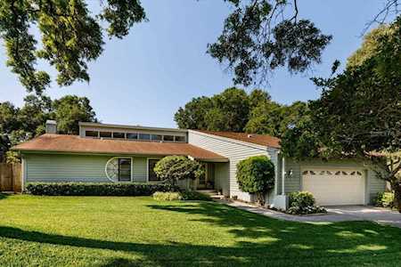 1454 Treetop Dr Palm Harbor, FL 34683