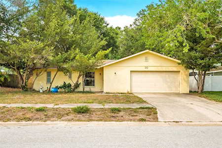 20 Durham Ct Palm Harbor, FL 34683