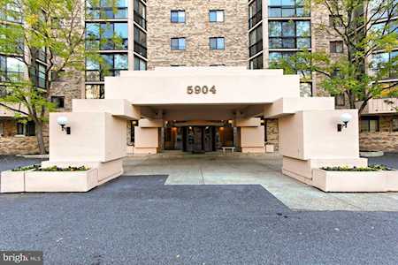 5904 Mount Eagle Dr #1105 Alexandria, VA 22303