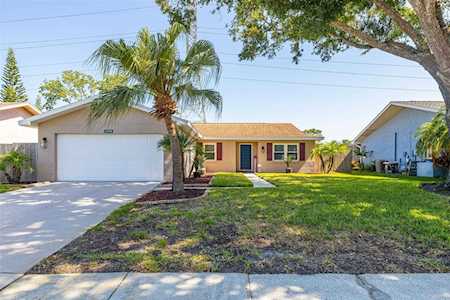 3296 Buckhorn Dr Clearwater, FL 33761