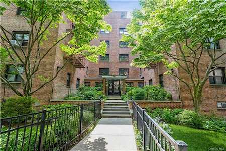 50 White Oak Street #3D New Rochelle, NY 10801