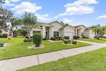 3487 Mermoor Dr Palm Harbor, FL 34685