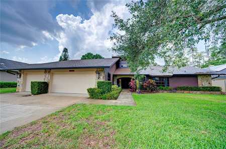 3355 Brian Rd N Palm Harbor, FL 34685