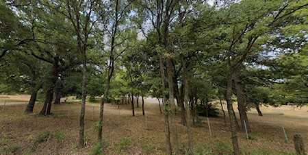 4446 W Dickson Lane Little Elm, TX 75068