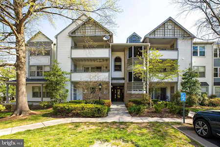 7703 Lafayette Forest Dr #55 Annandale, VA 22003