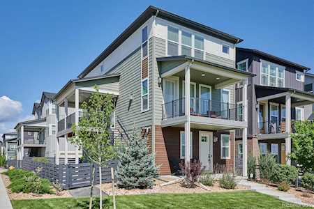 9064 Ramblestone St Highlands Ranch, CO 80129
