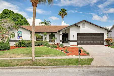 567 Allens Ridge Dr E Palm Harbor, FL 34683