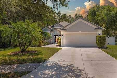 8282 Swann Hollow Dr Tampa, FL 33647