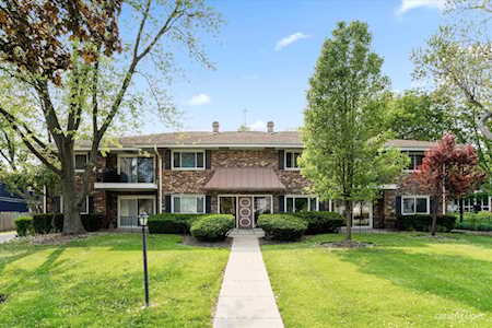 34 N Parkside Ave #50 Glen Ellyn, IL 60137