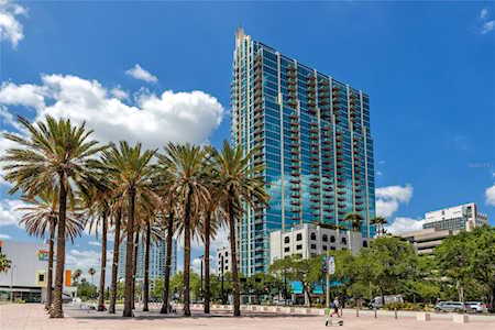 777 N Ashley Dr #2304 Tampa, FL 33602