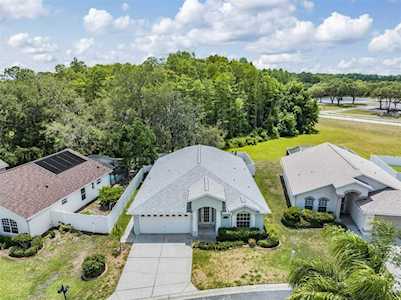 11640 Leda Ln New Port Richey, FL 34654