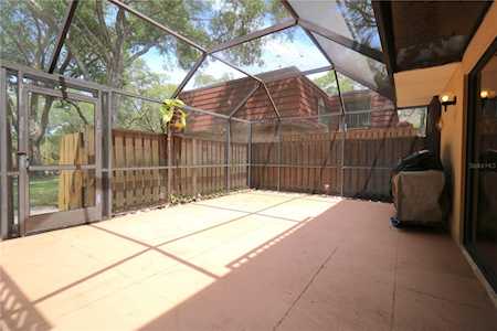 2701 3rd Ct Palm Harbor, FL 34684
