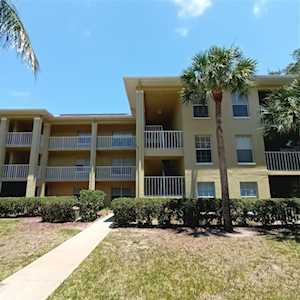 2690 Coral Landings Blvd #232 Palm Harbor, FL 34684