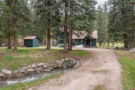 203 Black Bear Lane Vallecito Lake/Bayfield, CO 81122