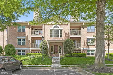 14202 Dove Creek Way #102 Sparks Glencoe, MD 21152
