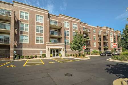 50 S Greeley St #410 Palatine, IL 60067