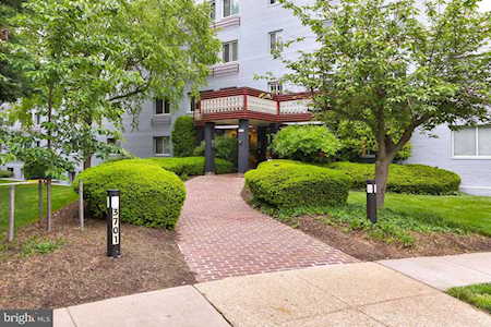 3701 5th St S #302 Arlington, VA 22204
