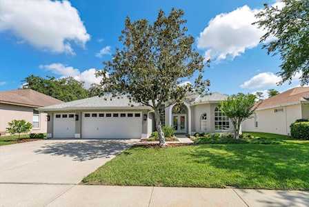 8537 Orsi Ct Trinity, FL 34655