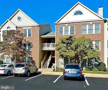 3800 Ridge Knoll Ct #307B Fairfax, VA 22033