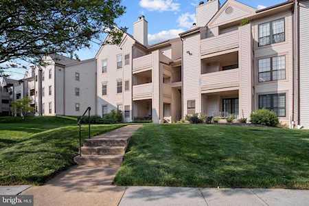6919 Mary Caroline #E Alexandria, VA 22310