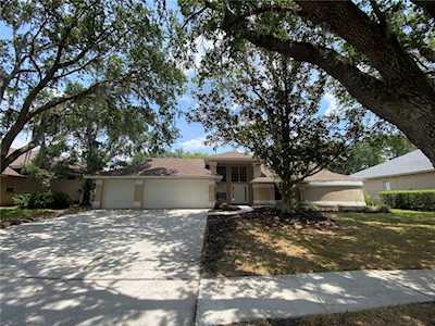 15830 Dawson Ridge Dr Tampa, FL 33647