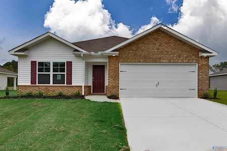 215 Chubbs Lane Owens Cross Roads, AL 35763