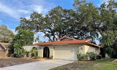 2923 Deer RUN S Clearwater, FL 33761