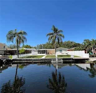 52 Cypress Dr Palm Harbor, FL 34684