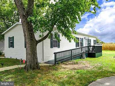 31780 Siham Rd #54380 Lewes, DE 19958