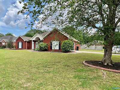60 Hidden Creek Drive Trinity, AL 35673