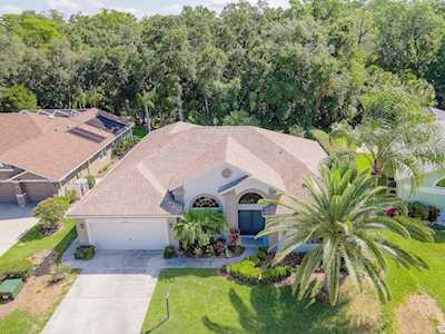 6646 Garden Palm Ct New Port Richey, FL 34655