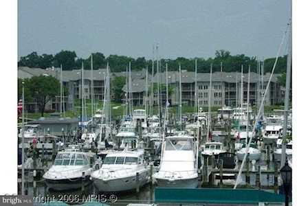 2104 Chesapeake Harbour Dr E #202 Annapolis, MD 21403