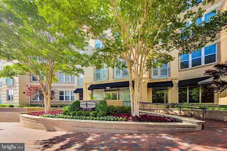 12000 Market St #264 Reston, VA 20190