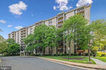 3100 S Manchester St #501 Falls Church, VA 22044