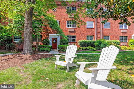 1630 W Abingdon Dr #102 Alexandria, VA 22314