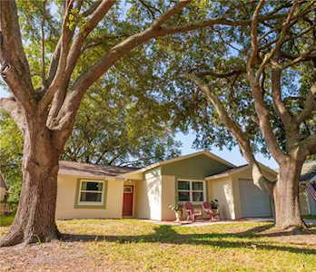 4904 Traskwood Ct Tampa, FL 33624